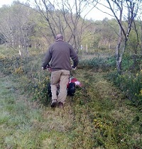 power brush cutter