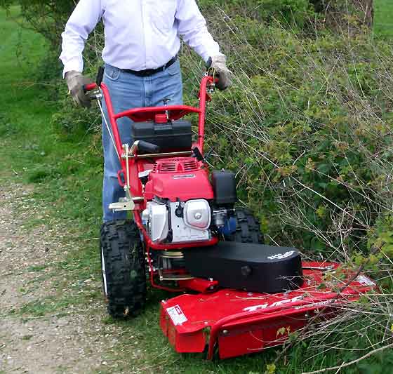 brush cutter for grass cutting awkward areas (large pic)