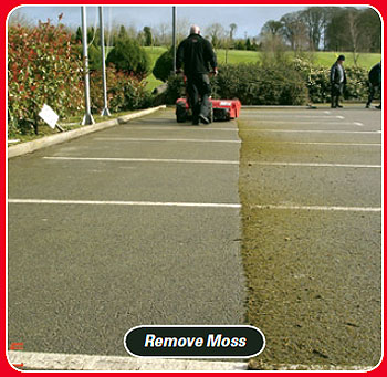 power sweeper to remove moss
